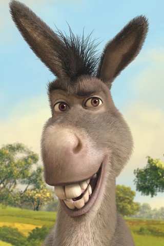 Naam: donkey-shrek-iphone-4-wallpaper-320x480.jpg
Bekeken: 533
Grootte: 39,3 KB