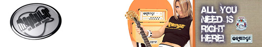 Max Guitar