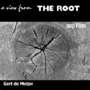 A View From The Root